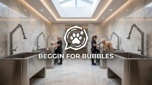 Beggin For Bubbles business thumbnail